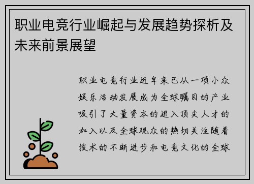 职业电竞行业崛起与发展趋势探析及未来前景展望